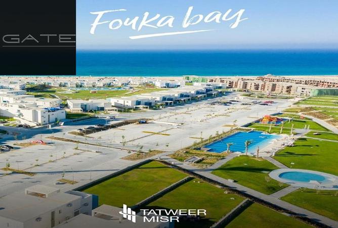 8252003 - Property Image 3