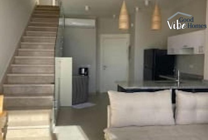 8419599 - Property Image 3