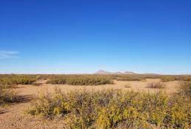 8480169 - صورة العقار 2