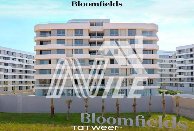 8066157 - Property Image 2