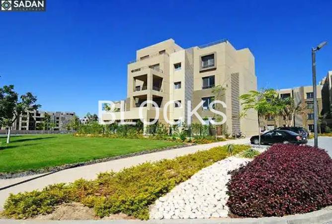 7981913 - Property Image 2