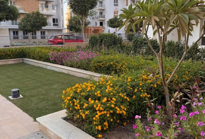 8217584 - صورة العقار 3