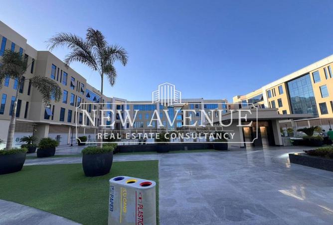8031245 - Property Image 3