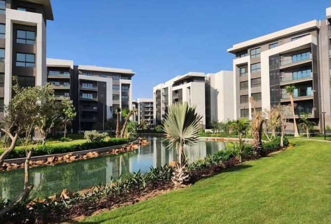 8386174 - Property Image 2