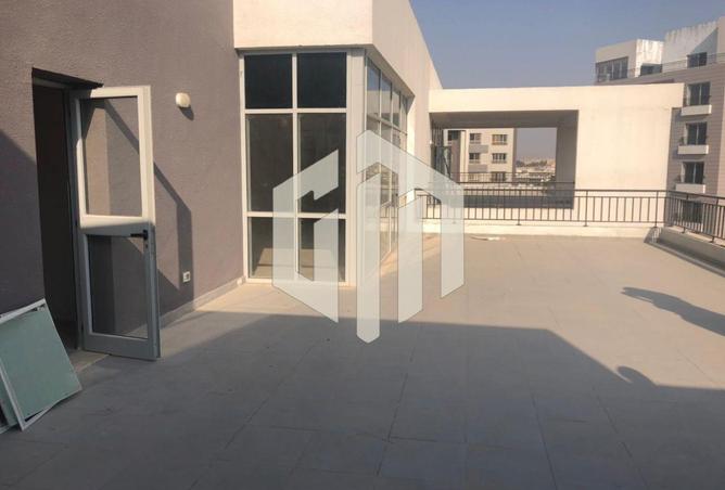 8382432 - Property Image 3