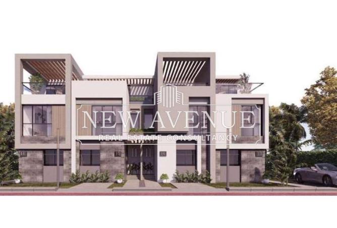 8234044 - Property Image 3