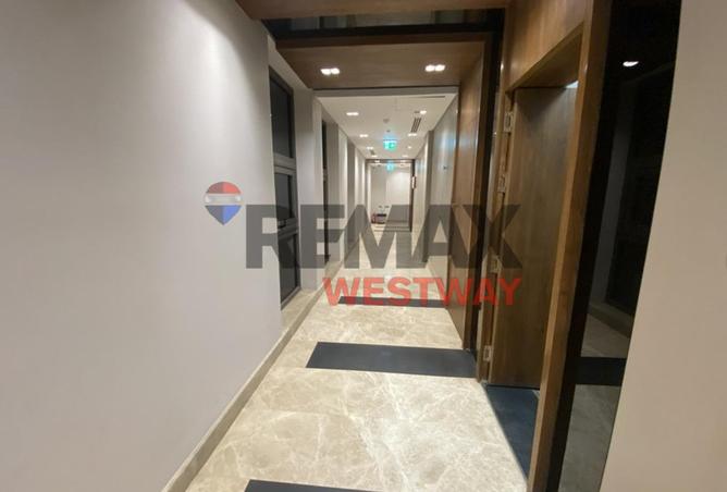 8448421 - Property Image 3