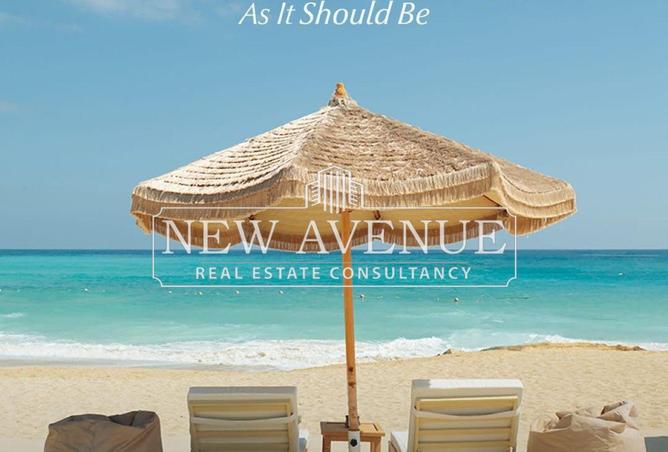 8206576 - Property Image 3