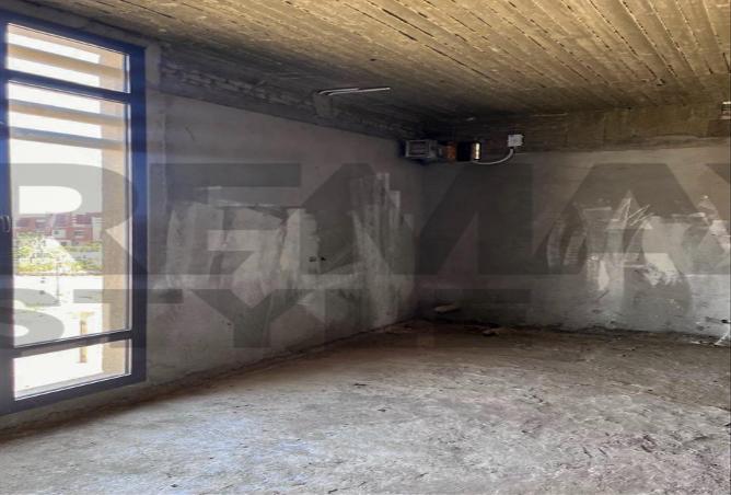 8344520 - Property Image 3