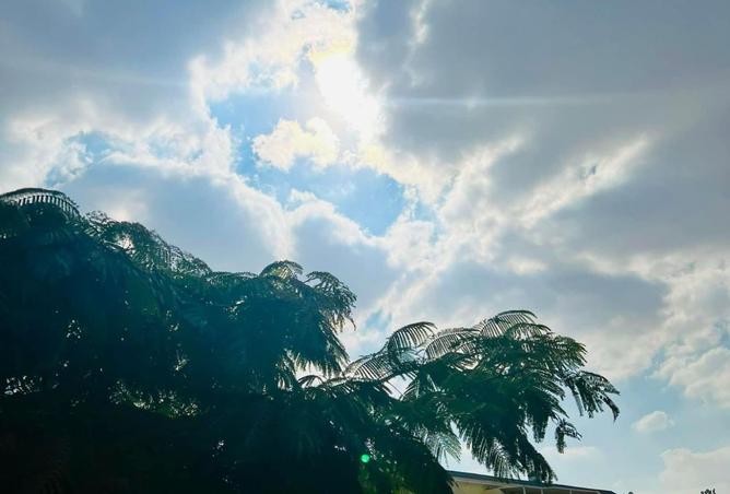 8420588 - Property Image 3