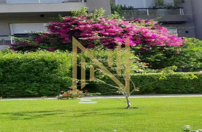 شقة - 1 حمام للايجار في نيو جيزة - طريق مصر اسكندرية الصحراوي - مدينة 6 أكتوبر - الجيزة
