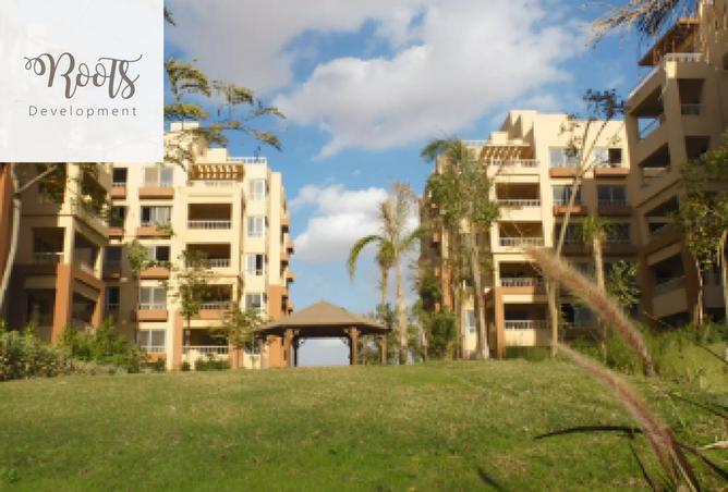 8193467 - صورة العقار 2