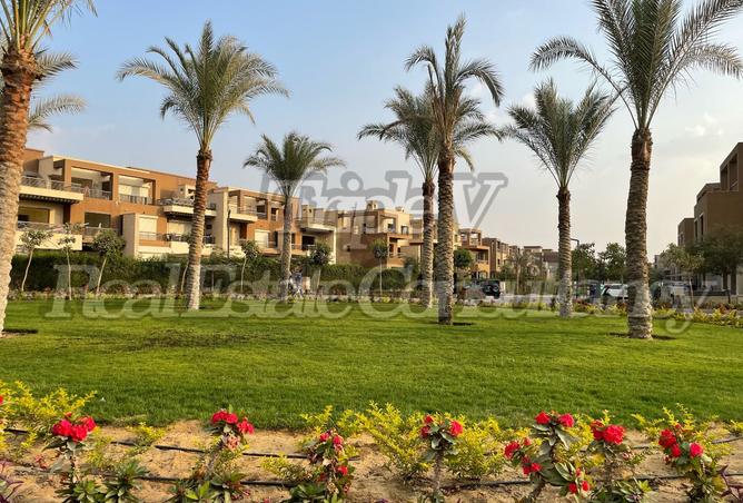 8040749 - صورة العقار 2