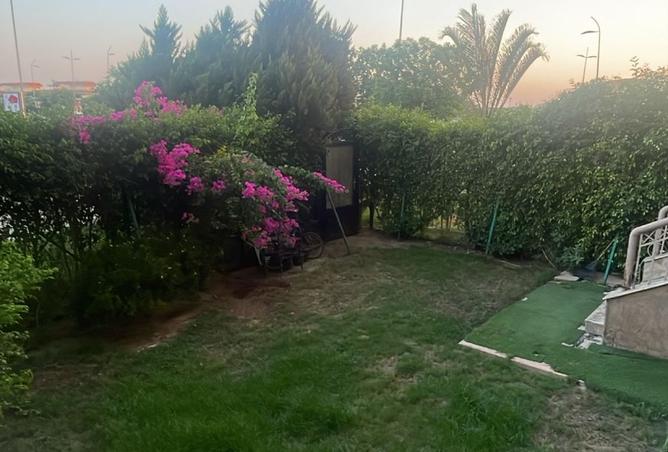 8167592 - صورة العقار 3