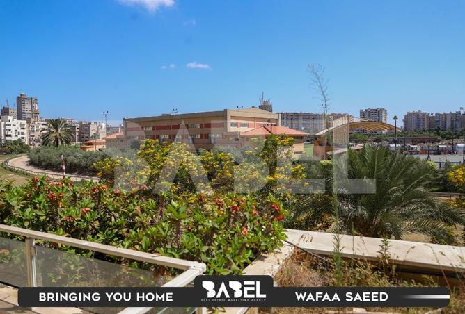 8082436 - Property Image 3