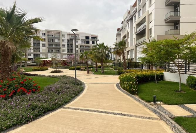 7908231 - Property Image 3