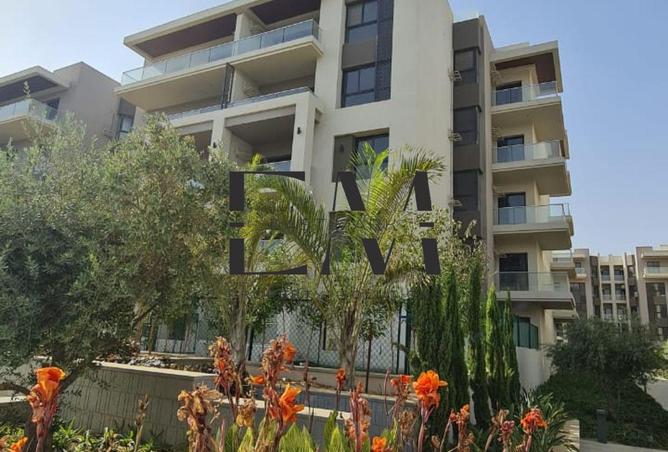 8138869 - Property Image 3