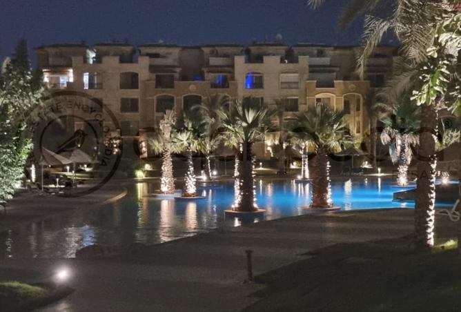 8205376 - Property Image 3