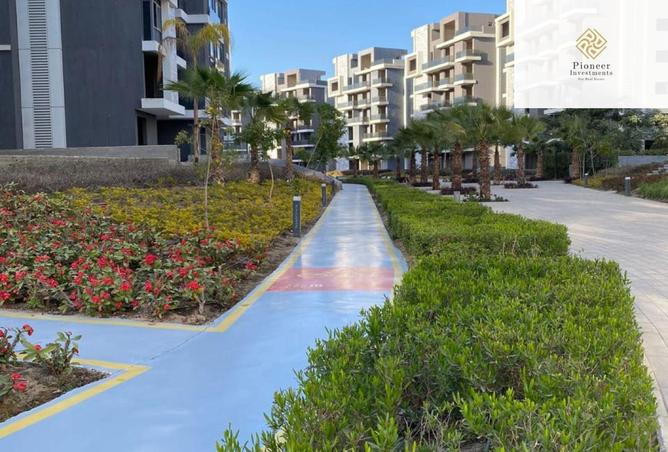 8458147 - Property Image 3