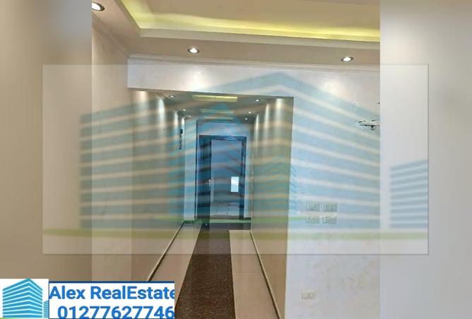 8061402 - Property Image 3