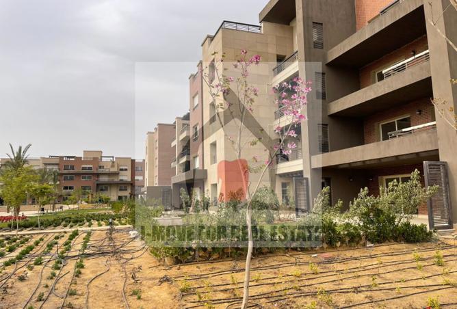 8121837 - الصورة الرئيسية للعقار