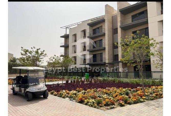 8537207 - Property Image 2