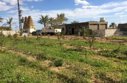 Farm - Studio for sale in Cairo Alexandria Desert Road - 6 October City - Giza