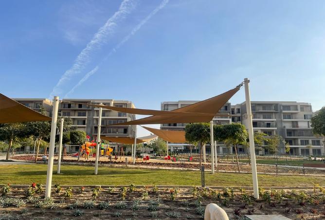 8217833 - Property Image 3