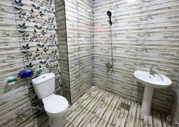Apartment - 1 bedroom - 1 bathroom for للايجار in Memphis St. - Ibrahimia - Hay Wasat - Alexandria