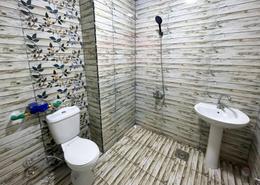 Apartment - 1 bedroom - 1 bathroom for للايجار in Memphis St. - Ibrahimia - Hay Wasat - Alexandria Apartment - 1 bedroom - 1 bathroom for للايجار in Memphis St. - Ibrahimia - Hay Wasat - Alexandria