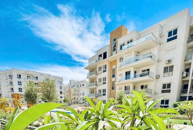 8541685 - Property Image 2