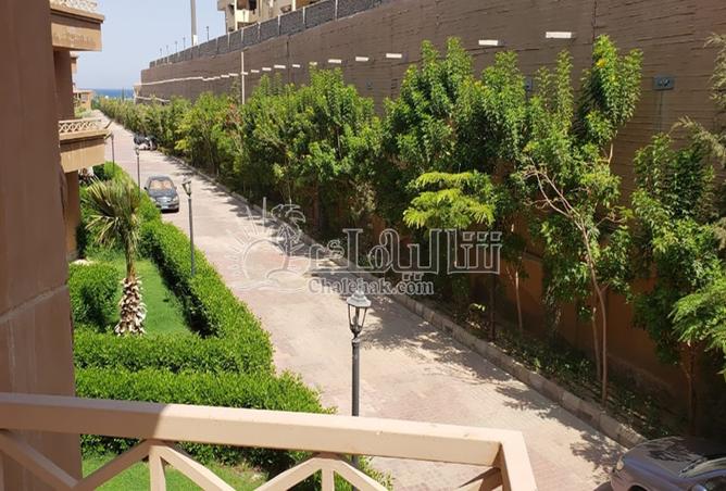 8135162 - صورة العقار 2