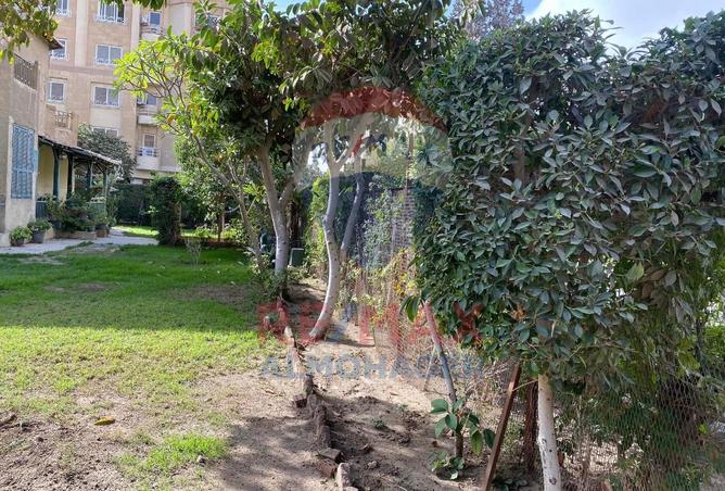 8141805 - Property Image 2