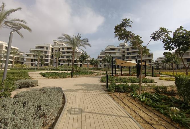 7993951 - الصورة الرئيسية للعقار