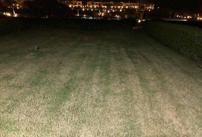 8451479 - صورة العقار 2