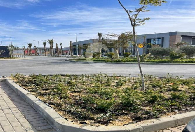 8092772 - الصورة الرئيسية للعقار