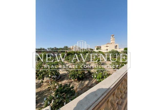 8091553 - Property Image 2