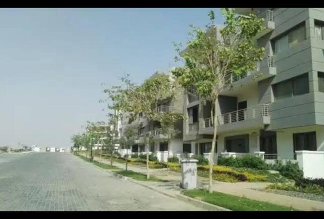 8263687 - صورة العقار 3