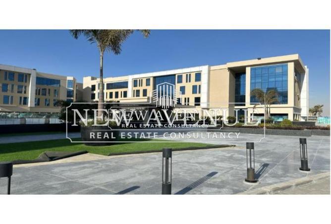 8002397 - Property Image 3