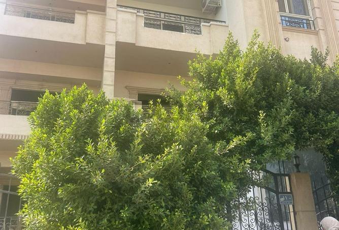 8058763 - Property Image 2