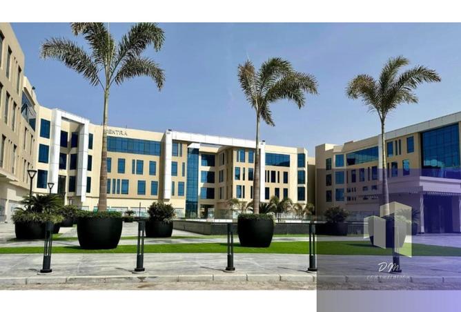 8079825 - صورة العقار 2