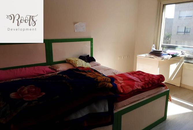 8461359 - Property Image 3