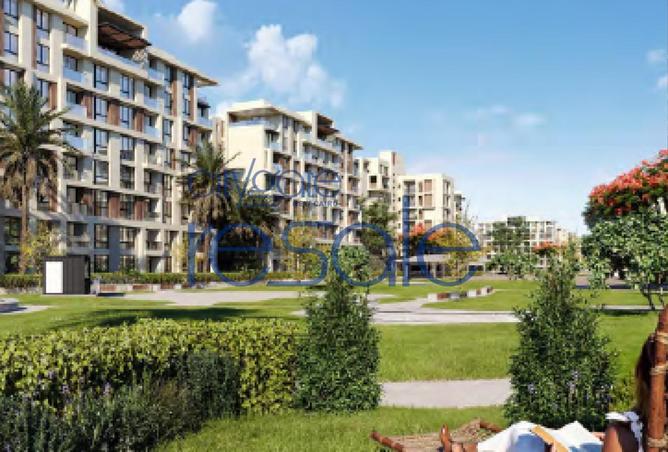 8150573 - Property Image 3