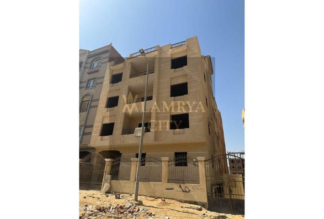 7937617 - صورة العقار 2