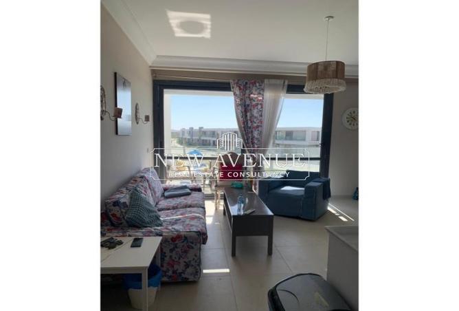 7913657 - Property Image 2