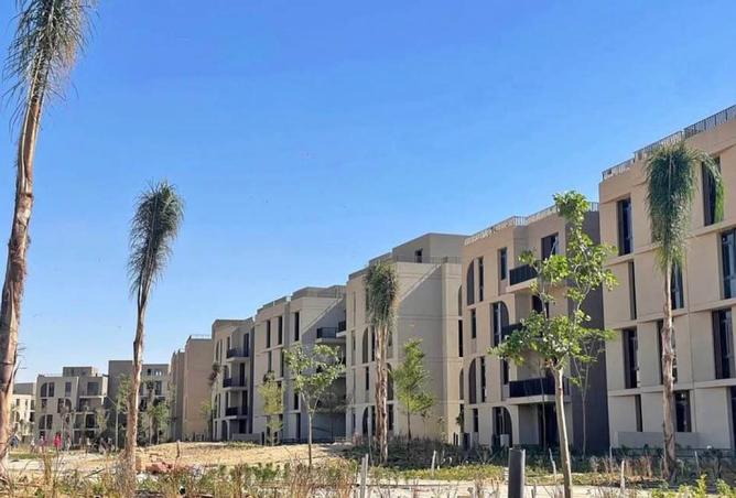 8393478 - Property Image 3