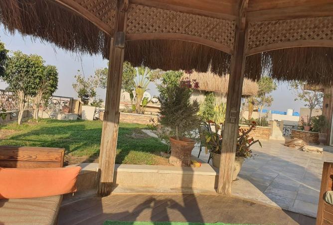 8462022 - Property Image 3