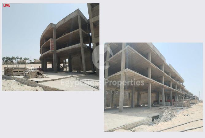 7994591 - Property Image 3