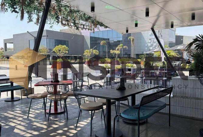 8395923 - Property Image 2