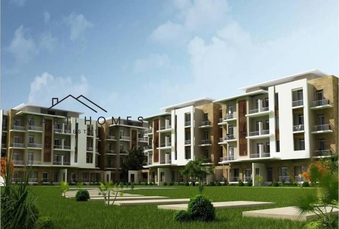 7901473 - Property Image 3
